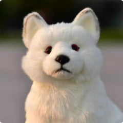 Plush Toys, Animal Dolls, And Plush Toys